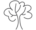 Growth  Icon